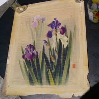 Antique Signed Hodo Nishimura Japanese Iris Flowers Painting On Silk J B Millet