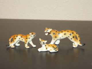 Cheetah Or Leopard Bone China 3 Piece Set