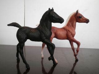 Breyer Classic Andalusian Foals