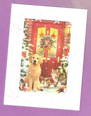 Labrador Retriever Lab Rabbit Cat Embossed Christmas Cards Box Of 12 Made In Usa