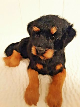 Rottweiler Dog Figurine Realistic Goat Fur Laying Down Display Collectible