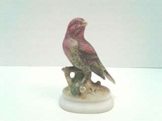 Lefton China House Finch Hand Painted