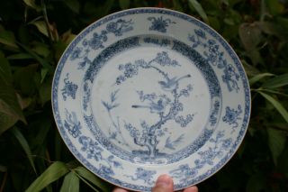 18th C.  Antique Chinese Porcelain Blue And White Hand Painted Flower Bird Plate