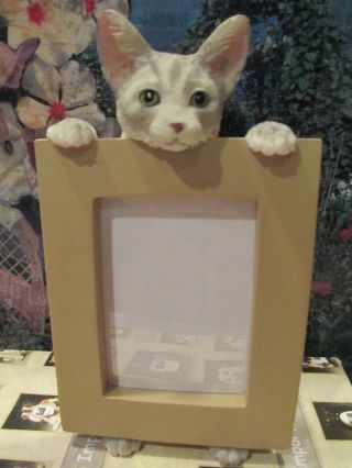 Silver Tabby Cat Picture Frame 16 - 9