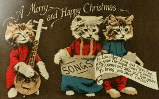 Cats W/ Instrument & Song Writing Merry Christmas Anthropomorphic Cat Postcard