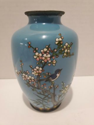 Antique Japanese Cloisonne Enamel Silverwire Vase Blue Bird On Prunus Flwrs Rare