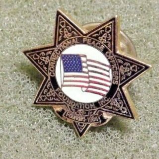 Cpof Correctional Peace Officers Foundation Inc.  Star Badge Usa Flag Lapel Pin