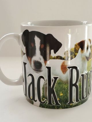 Americaware Jack Russell Terrier Colorful Mug Large Coffee Tea 4.  25 " High