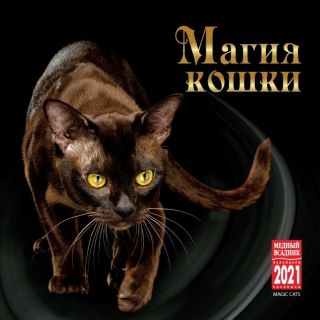 2021 Russian Wall Calendar: Magic Cats - Магия кошки.  Luxury Edition