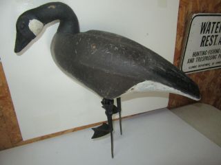 Ralph Kohler Canada Goose K & W Metal Legs Field Goose Decoy,