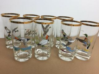Set Of 8 Vintage Ned Smith Waterfowl Duck 5 1/2 " Gold Rim Bar Glasses Highball