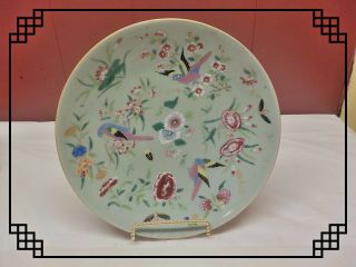 Vintage Chinese Export Famille Rose Enamel Green Celadon Porcelain Plate 10 "