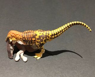 Kaiyodo Uha Dinotales Series 4 Tarbosaurus Dinosaur Figure