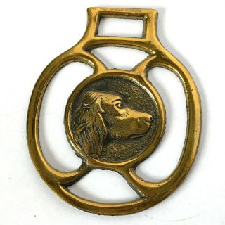 Vintage Brass Horse Saddle Bridle Medallion Ornament Hunting Dog Head England