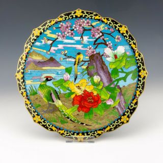 Vintage Chinese Cloisonne - Oriental Bird Flower & Tree Decorated Plate