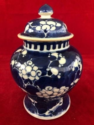 Fine Antique Chinese Kangxi Porcelain Blue & White Prunus Lidded Vase 2.