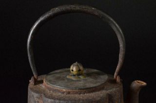 Z5797: Japanese Xf Old Iron Landscape Bird Sculpture Tea Kettle Teapot Tetsubin