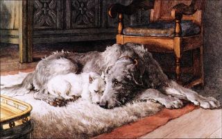Scottish Deerhound & West Highland Terrier Dogs Large Blank Note Cards