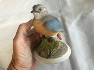 Vtg Adorable Boehm 4 1/2” Baby Blue Bird 442 R Porcelain Figurine