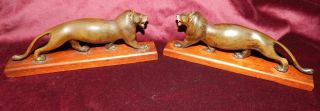 Stylish Pair Antique Indian Carved Horn Lions On Wooden Bases Asian