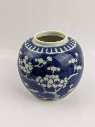 Chinese Antique Porcelain Prunus Jar with Kangxi Double ring mark. 2