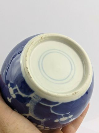 Chinese Antique Porcelain Prunus Jar with Kangxi Double ring mark. 3