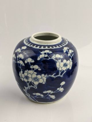 Chinese Antique Porcelain Prunus Jar with Kangxi Double ring mark 2