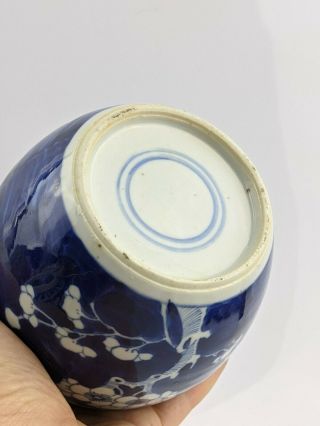Chinese Antique Porcelain Prunus Jar with Kangxi Double ring mark 3