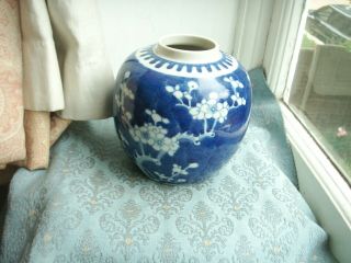 Old Antique Chinese Porcelain Blue & White Blossom Ginger Jar Vase C.  1890 China