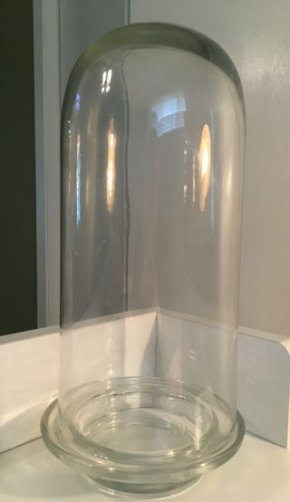 Vintage Thick Glass Cloche Display Dome W/ Base Blown Bubbles Old 14 " Tall Heavy