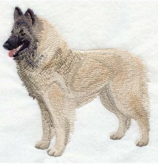 Belgian Tervuren,  Hand Towel,  Embroidered,  Custom,  Personalized,  Dog