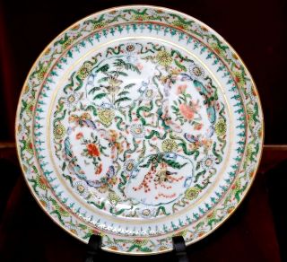 Antique Chinese Famille Verte Porcelain Plate Qing Dynasty Flowers Butterflies