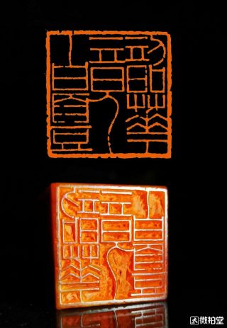 Chinese Stone Hand Carved Seal Stamp 韶华竟白头 0806
