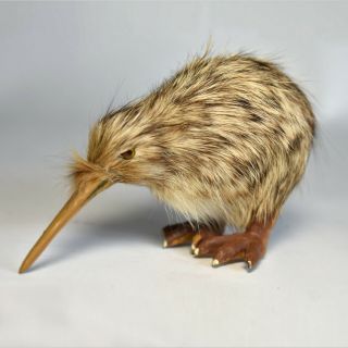 Lifelike Miniature - Kiwi - Zealand Souvenir - Hand Made - Bird Figurine 2