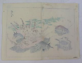 Flower,  insects :Japanese print,  Kyosai 2