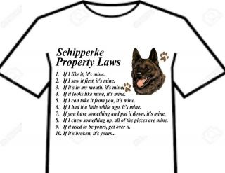 T Shirt = Schipperke Dog - Big Attitude Silly Rules - Property Laws Of The Breed