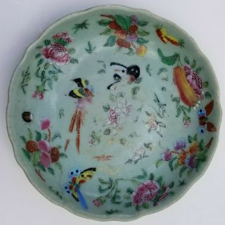 Antique Qing Chinese Celadon Famille Rose Porcelain Plate Butterfly Insects