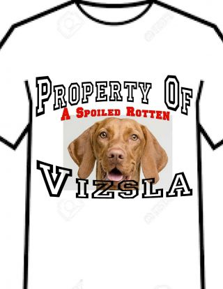 T Shirt = Property Of A Spoiled Rotten Vizsla Dog Breed Unisex Gift Shirt - L Xl
