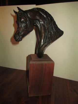Moss Bronze Color Bust Arab Vintage Region V Champion Arabian Horse Show Trophy