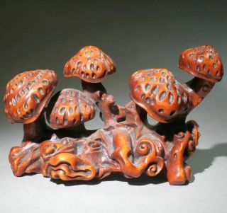 Collectable China Antique Boxwood Hand - Carved Delicate Mushrooms Unique Statue