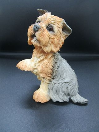 Country Artists " Yorkshire Terrier Puppy” Figurine 01905
