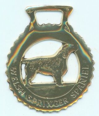 Welsh Springer Spaniel Horse Brass (n611) (i Always Combine)