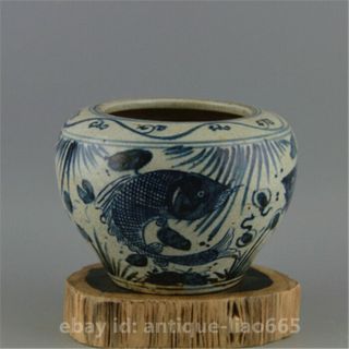 5.  7 " Collect Chinese Jingdezhen Blue White Porcelain Fish Pattern Pot Jar Crock