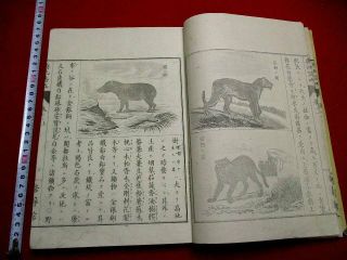 2 - 25 Yochi11jyo U.  S.  A India Map Japanese Woodblock Book
