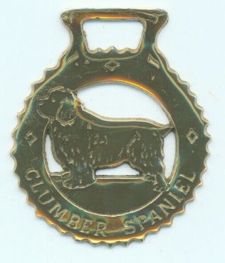 Clumber Spaniel Horse Brass (n608)