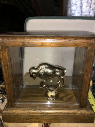 Vintage Gold Buffalo Trophy In Wood And Glass Display Case
