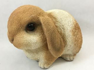 Baby Lop Ear Rabbit Figurine Brown & White 6 " Bunny Cute Big Eyed
