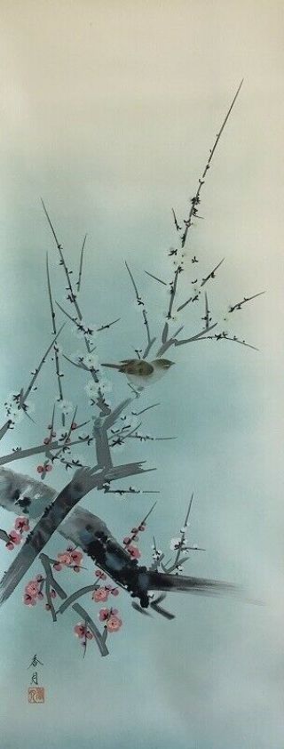 Japanese Hanging Scroll Kakejiku Hand Paint Silk Plum Tree Bird Antique W394