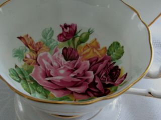 Vintage Paragon Double Warrant Tea Cup and Saucer cabbage roses 2