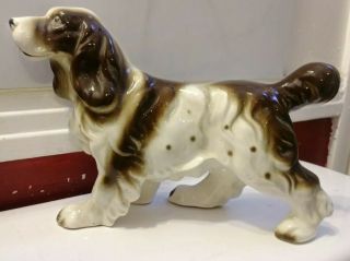 Huge 10.  5 In Vintage Springer Spaniel Dog Figurine Made In Japan Mid - Century